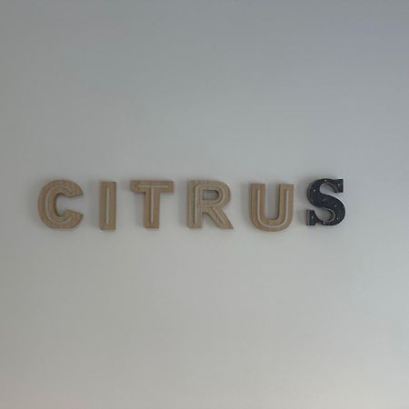 Citrus Suite By Alhaurin Loft City Center Alhaurín de la Torre Екстериор снимка