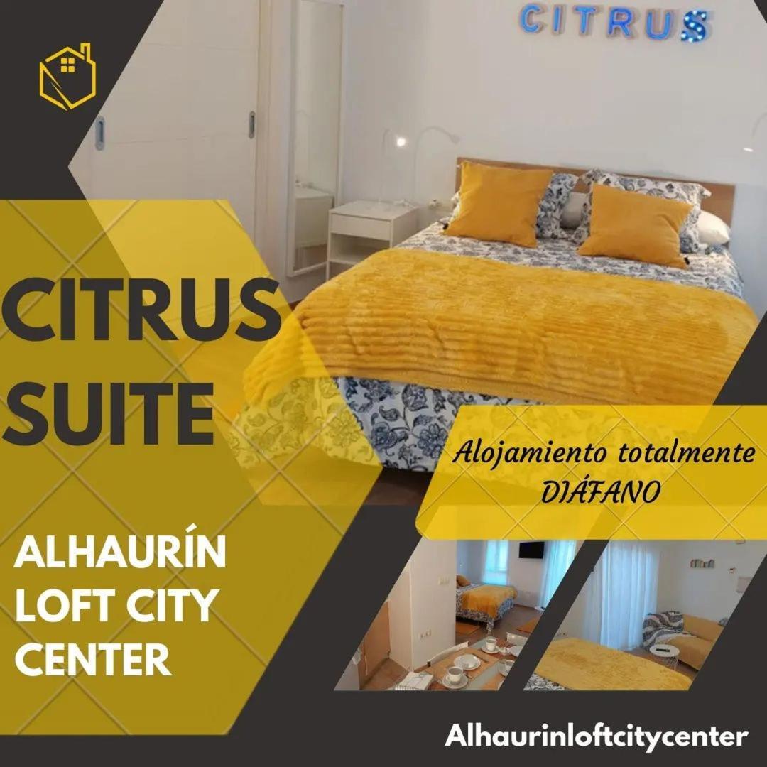 Citrus Suite By Alhaurin Loft City Center Alhaurín de la Torre Екстериор снимка