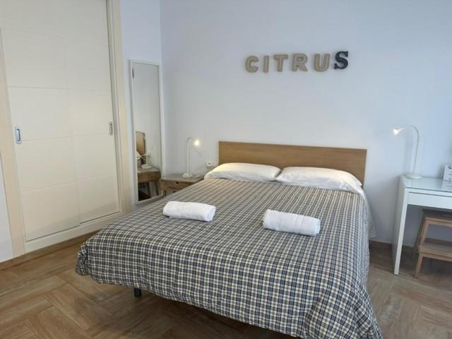 Citrus Suite By Alhaurin Loft City Center Alhaurín de la Torre Екстериор снимка