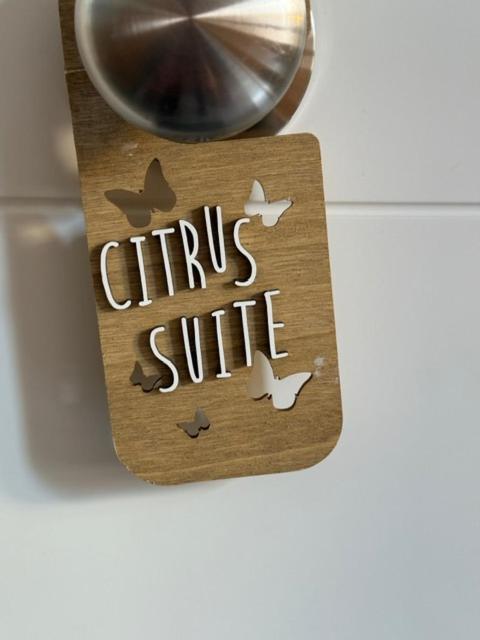 Citrus Suite By Alhaurin Loft City Center Alhaurín de la Torre Екстериор снимка